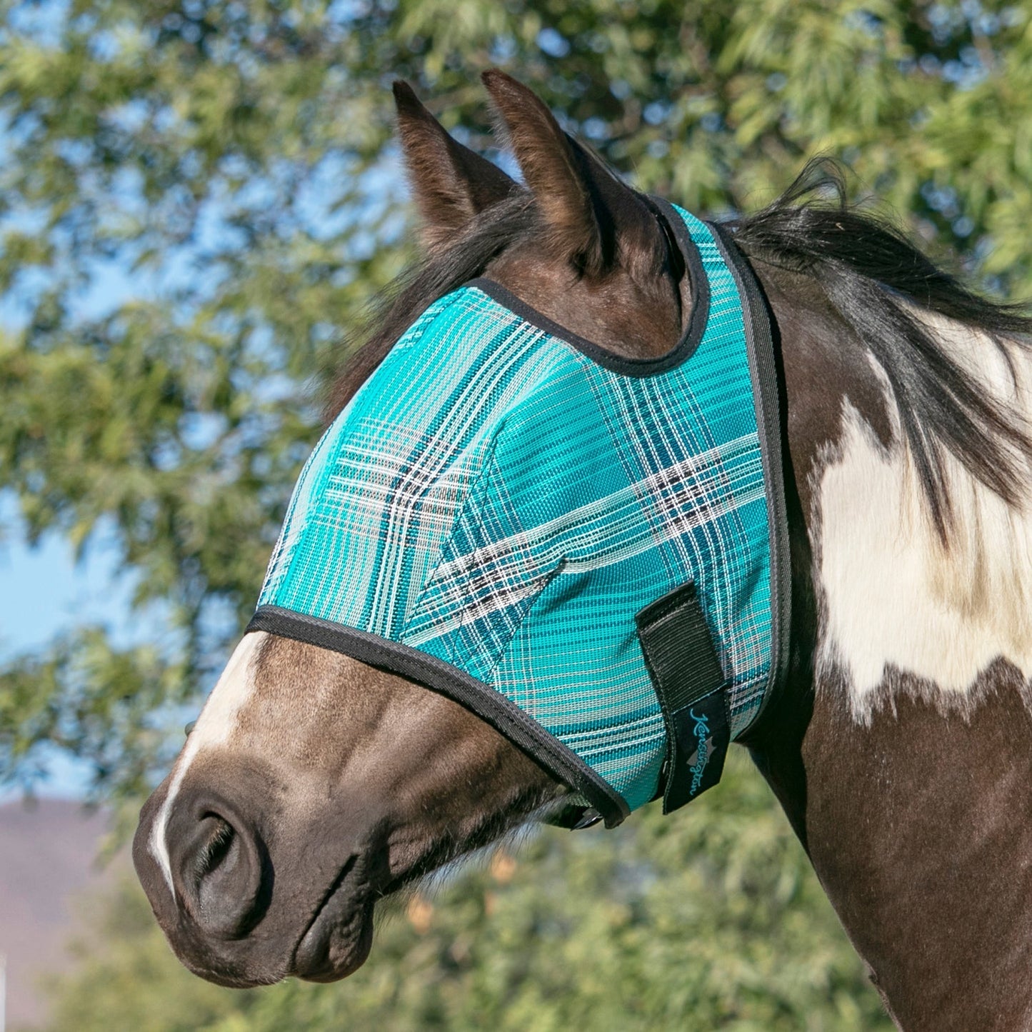Fly Mask with 73% UV Protection - Open Top Design