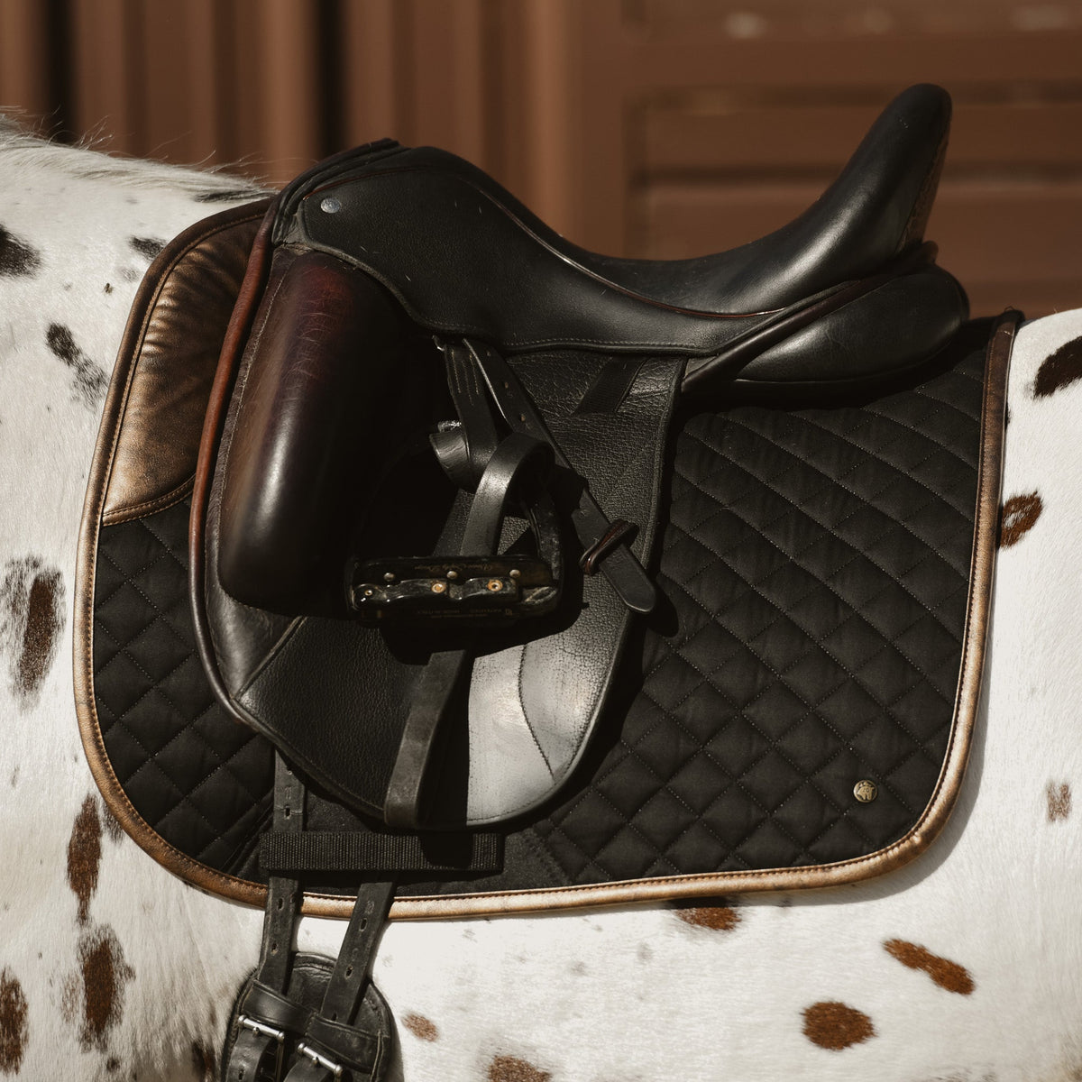 Dressage Pad, Black & Gold Leaf - End of season