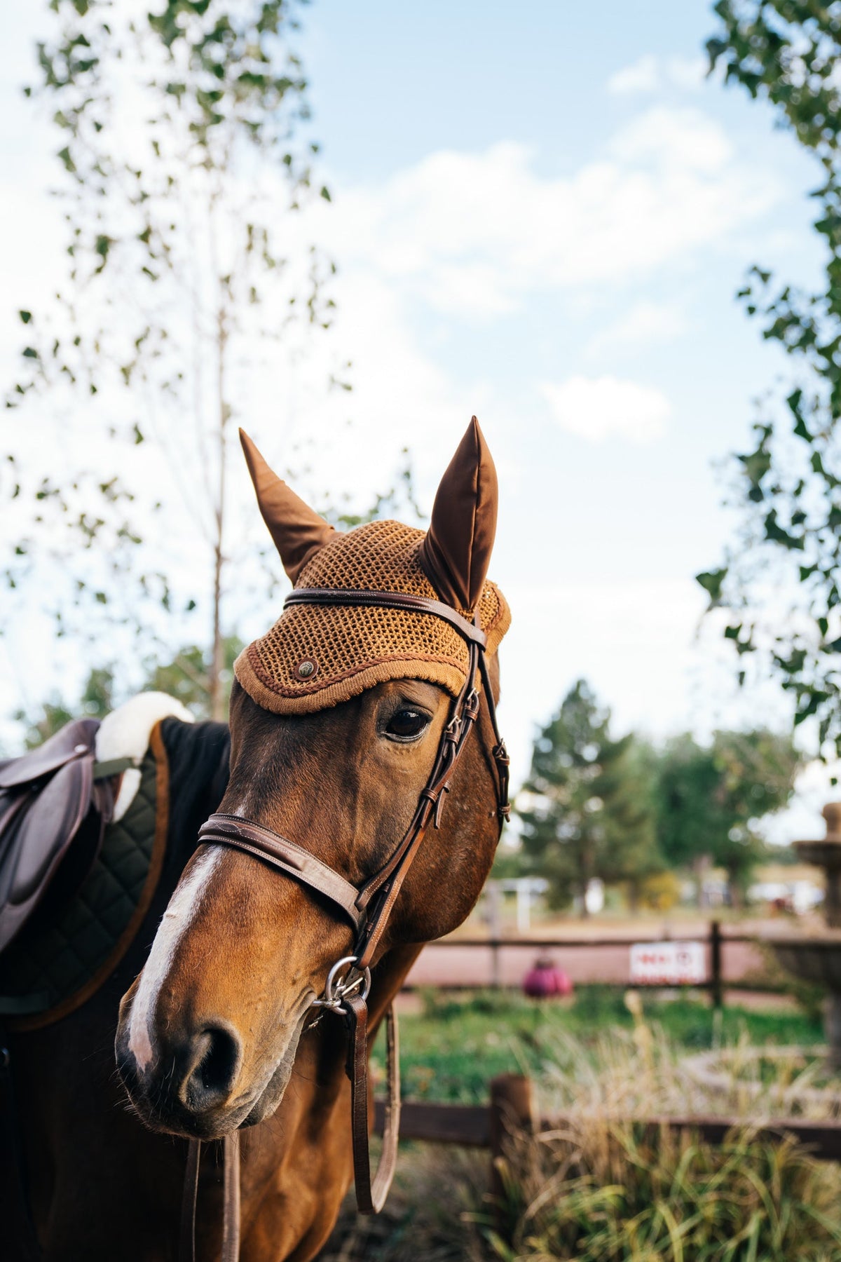 Fly Veil, Camel & Cognac