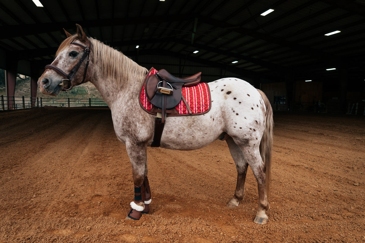 Pony Jumper Pad, Derby Stripe - End of season